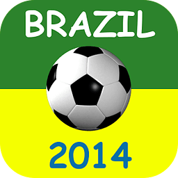 2014年巴西足球世界杯