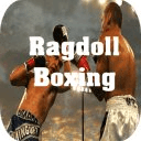 Ragdoll Boxing 3D