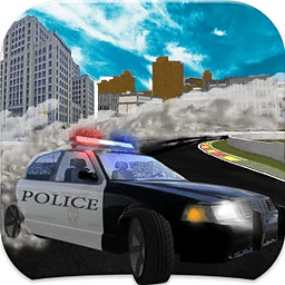 Real Police Car Simulator