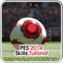 PES 2014 Skills Tutorial