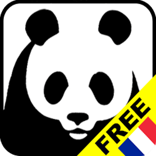 Panda Chinese Memo (Fr)