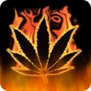 Blazing Weed Live wallpaper