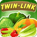 Twin Link