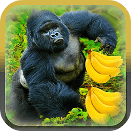 Banana Mad Kong