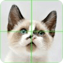 Little Cats Puzzles