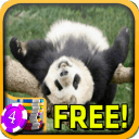 3D Panda Cub Slots - Free