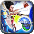 Cricket 2013