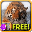 United Tiger Slots - Free