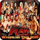 Wrestling Tour 3D 2015