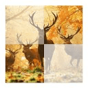 Forest Animals Puzzle!