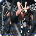 WWE Wrestling Game