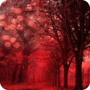Red Forest Wallpapers II