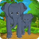 Feed Baby Elephants