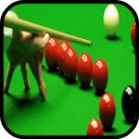 Snooker Champion