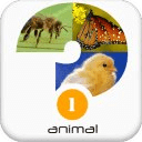 Guess A Word - Animal