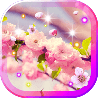 Best Sakura HD live wallpaper