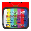 TV INDONESIA ONLINE
