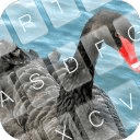 Black Swan Keyboard Theme