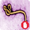 Ebola