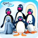 Pingu