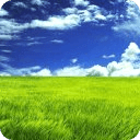 Grassland live wallpaper