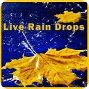Live Rain Drops HD Live Wallpaper