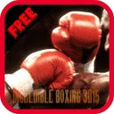 Incredible Boxing 3D15