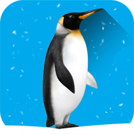 Hide The Penguin : Zoo E...