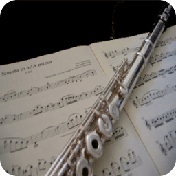 Learn To Play The Flute