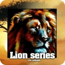 Lion Sounds Wild livewallpaper