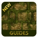 Guides For Temple Run 2