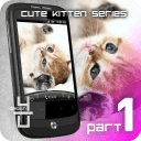 Kitty Cute HD Live Wallpaper