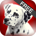 About Dog Breeds (Free)