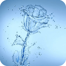 Water rose Live Wallpaper