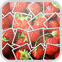 Fruits Puzzle Break