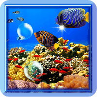 Fishes Coral Reef Screen LWP