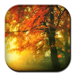 Autumn Live Wallpaper 3D