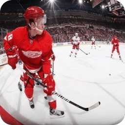 Detroit Red Wings Rumours