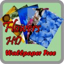 Flowers HD Wallpaper Free