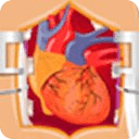 Heart Surgery - First Aid
