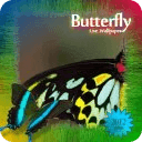 Butterfly Games Live Wallpaper