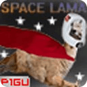 Space Lama