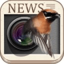 3D Photography News