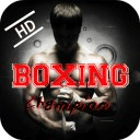 Boxing Champion 2014
