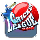 Cricket League 2015