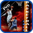 2014Pro basketball