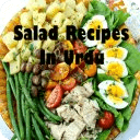 Salads Recipes In Urdu