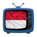 TV Indonesia Channel