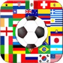 Flags - FIFA World Cup 2014