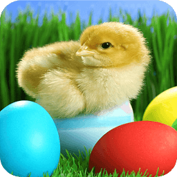 Easter Day Pretty Wallpapers